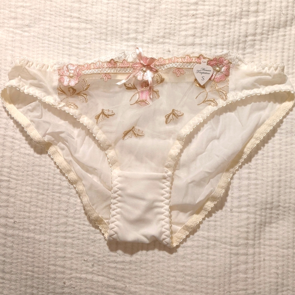 $7 addon. NWT embroidered mesh panties